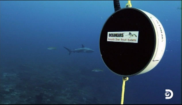 Adam Devine - Shark Week - Oceanears