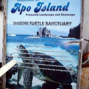 Apo Island Turtle Sanctuary