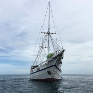 OCEANEARS - Fiji Siren Diving