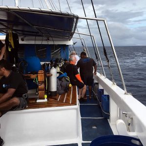 Oceanears-Fiji-Siren-Diving-5